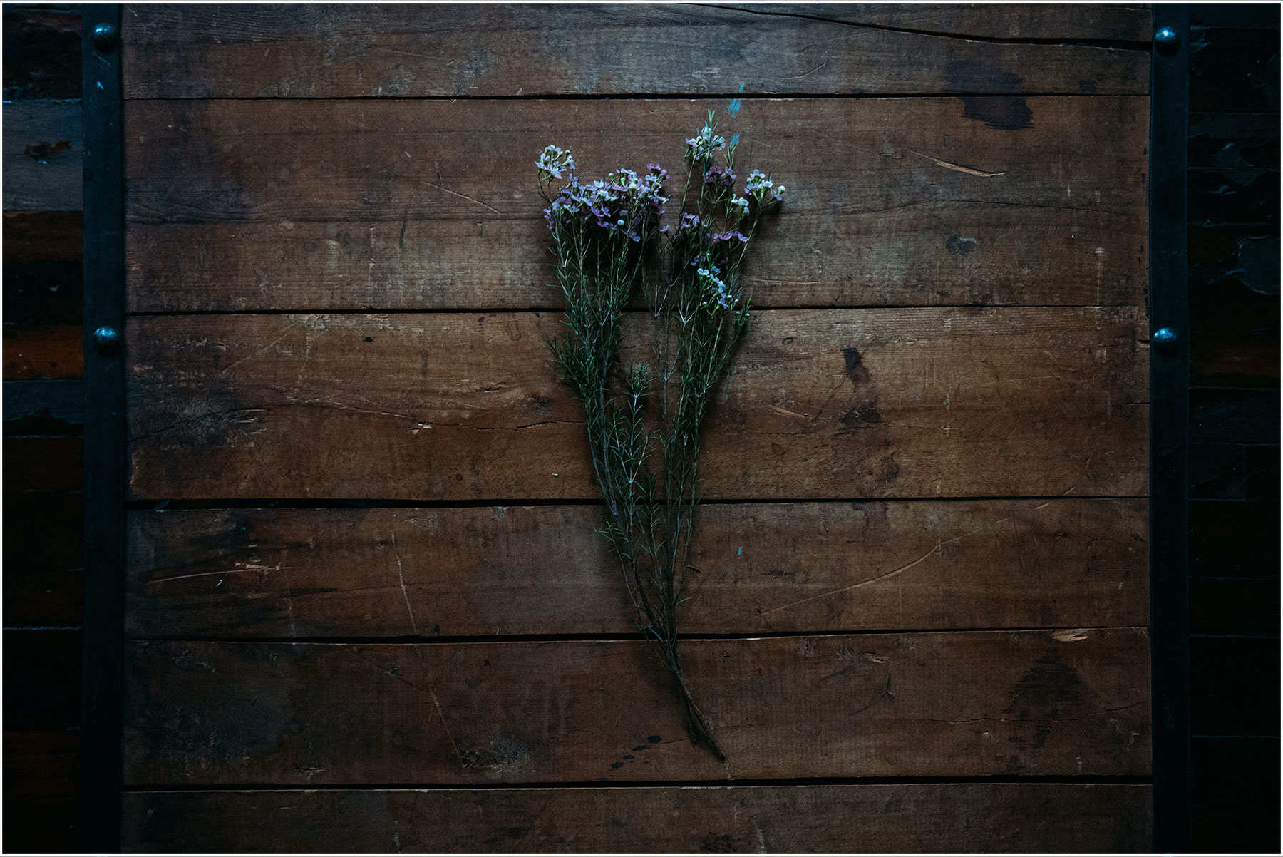Wedding flowers | Peter Greeno