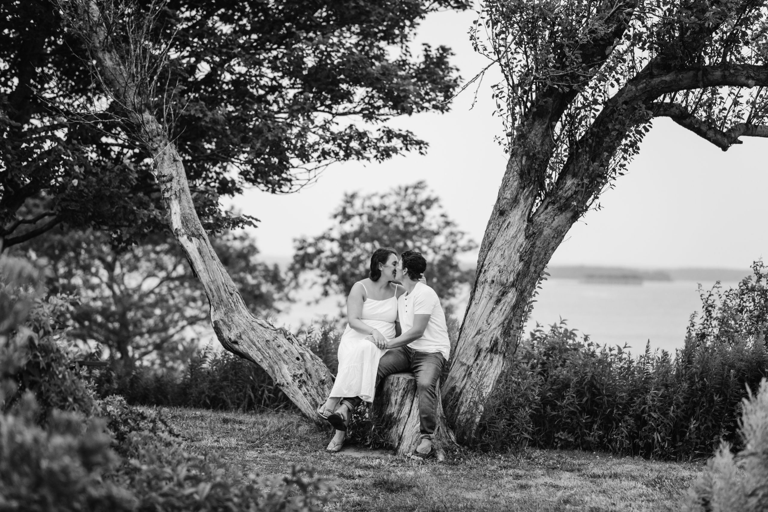 Connor and Lizzy are sitting in an old tree with the backdrop of Saco Bay in the distance. The tree is in Fort Williams Park, where they recently had their engagement session with Peter Greeno Weddings.